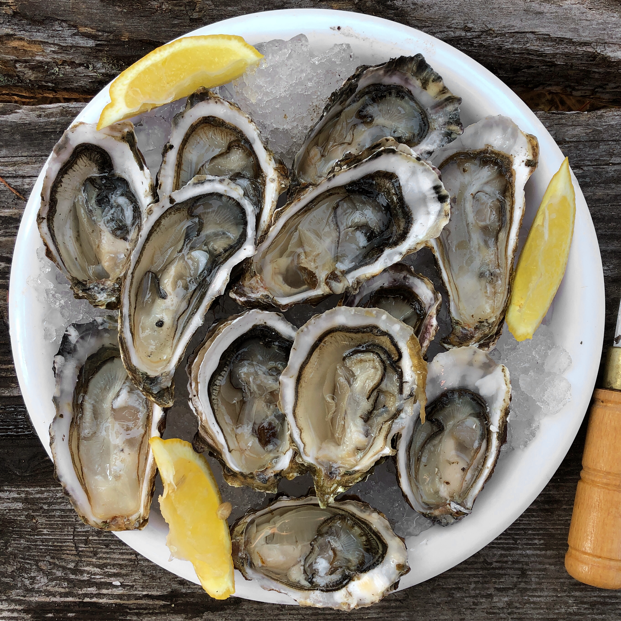 Shucked Oyster Platters