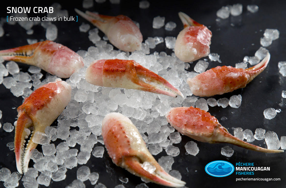 Cooked Snow Crab Claws XL-Jumbo Frais
