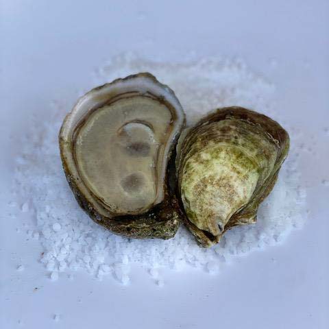 Lucky Lime Oysters Pre-Opened 25 Platter of Oysters on ICE