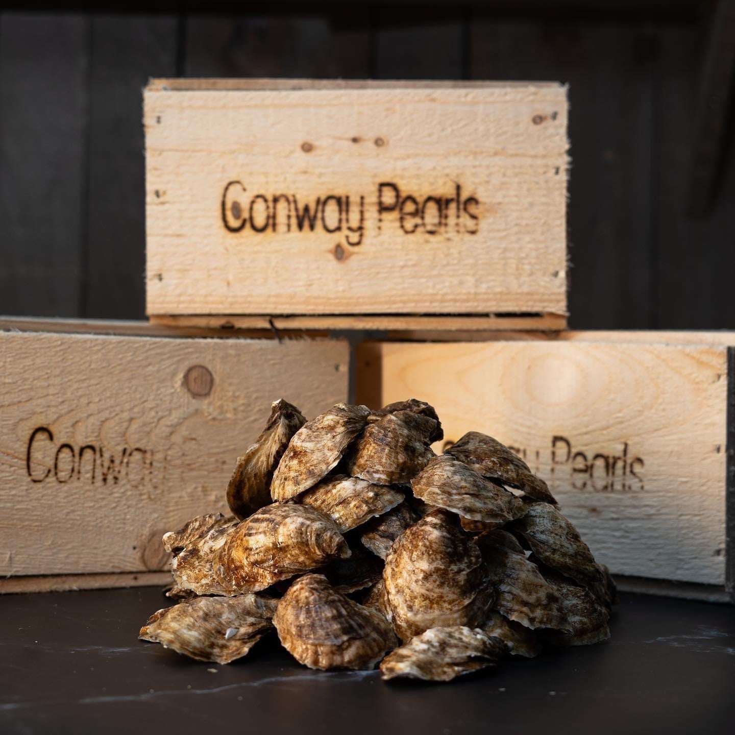 Box of 100 Conway Pearl Cocktail Oysters, Unshucked (2.5" - 3")