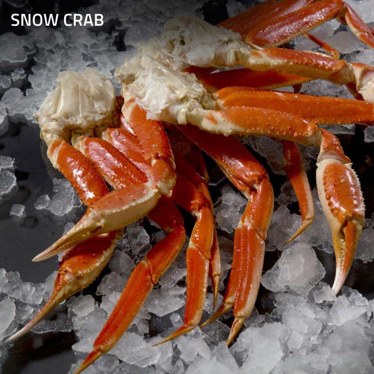 Crabe des Neiges Cuits de Baie-Comeau - 5- Sections Sur Plateaux