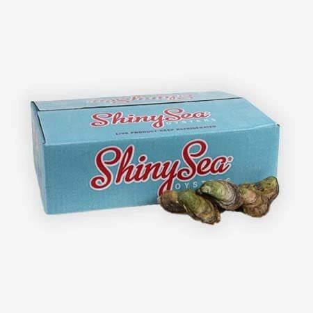 Boîte de 50 huîtres Shiny Sea non écaillées