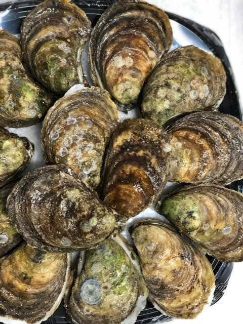 18 Pre-Opened Chiasson Super Large Choice - Premium "Wild" Oysters Shucked On-ICE