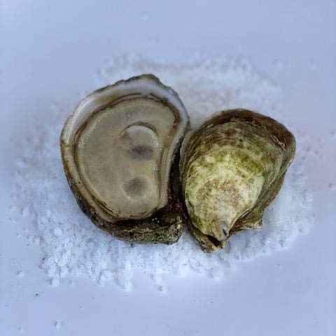 Plateau d'huîtres Lucky Limes écaillées - 25 u. sur glace